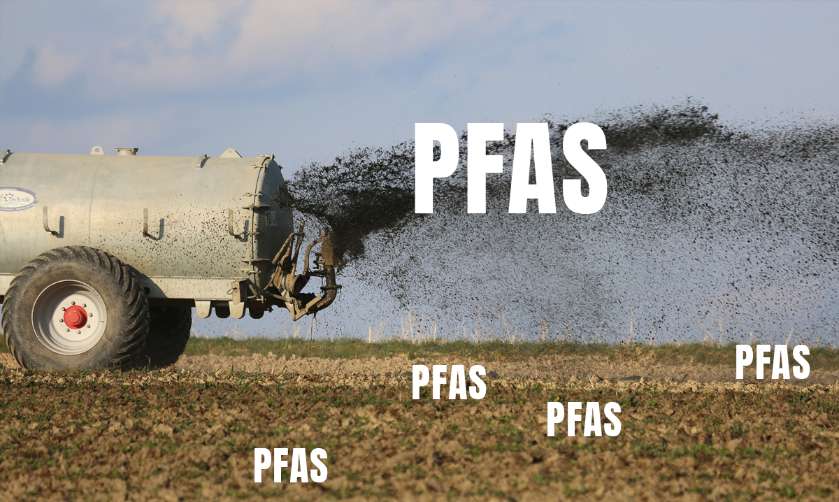 pfas